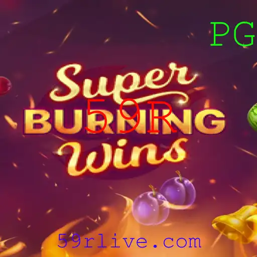 Explore o Fascinante Mundo de SuperBurningWins