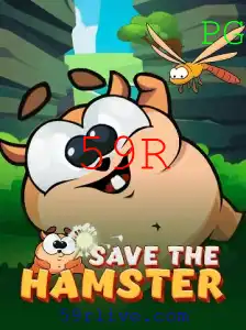 SavetheHamster: Um Jogo Engajante Que Conquista Corações